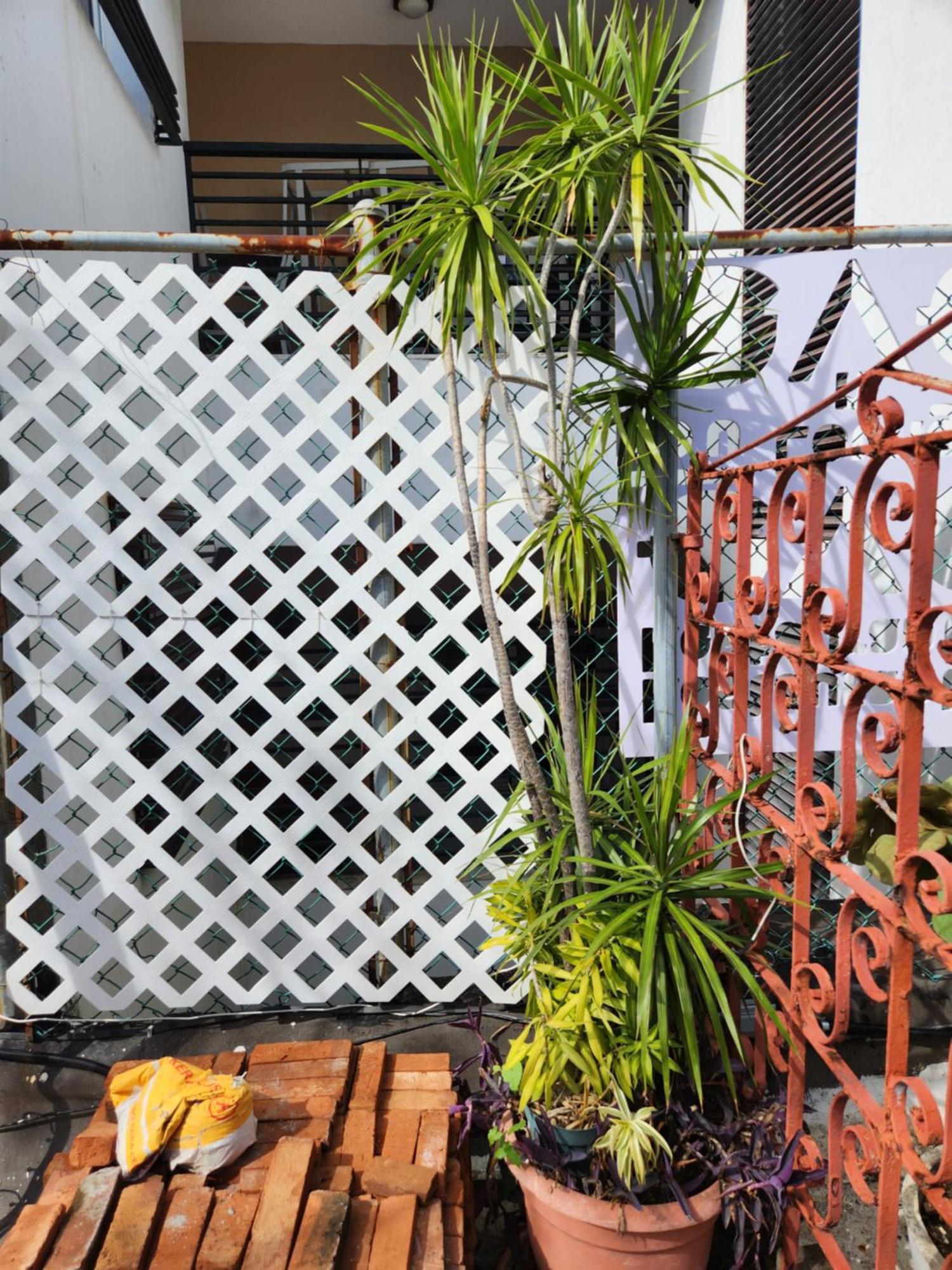 Fabulous Rooftop 2 Colonial Room For 4 Santo Domingo Quarto foto